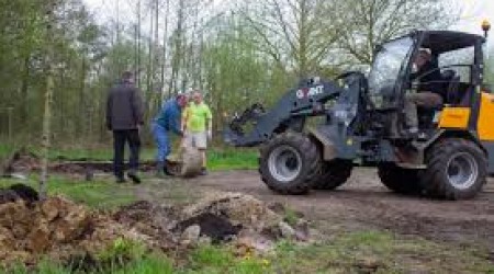 Planten lindebomen Steenrijt, Spoordonk