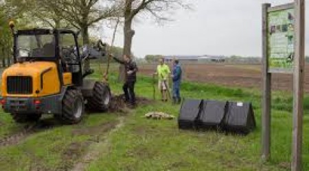 Planten lindebomen Steenrijt, Spoordonk